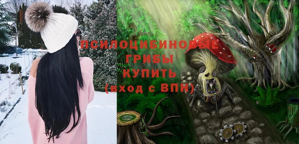 стафф Арсеньев