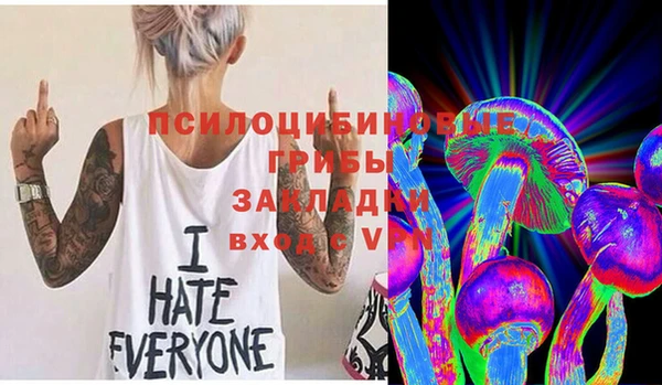 стафф Арсеньев