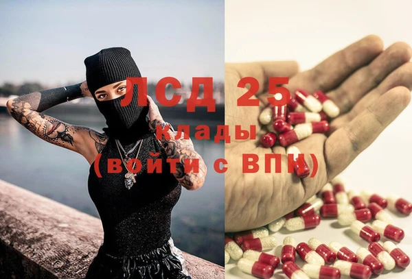 стафф Арсеньев