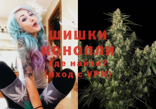 шишки Армянск
