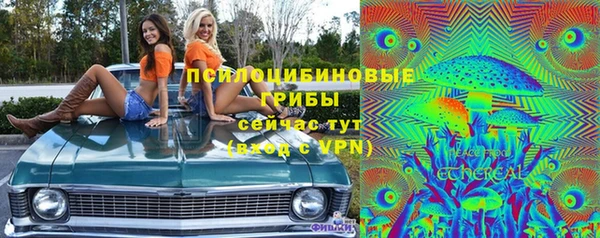 шишки Армянск