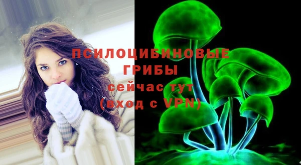 шишки Армянск