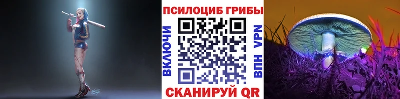 Псилоцибиновые грибы MAGIC MUSHROOMS  сколько стоит  Невинномысск 