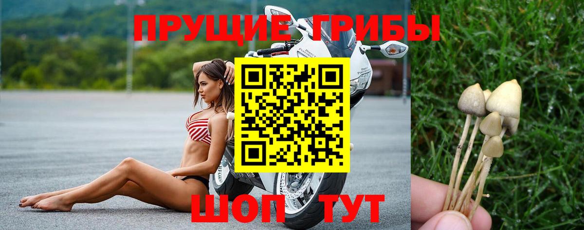 Невинномысск  Псилоцибиновые грибы Magic Shrooms  Вход с VPN 